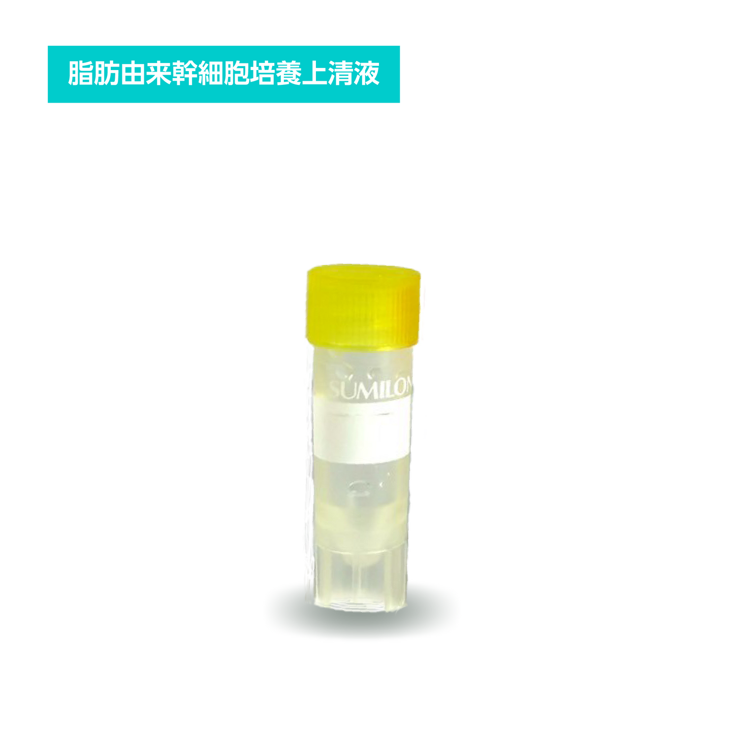 脂肪Re:Right-CELL-Secretome