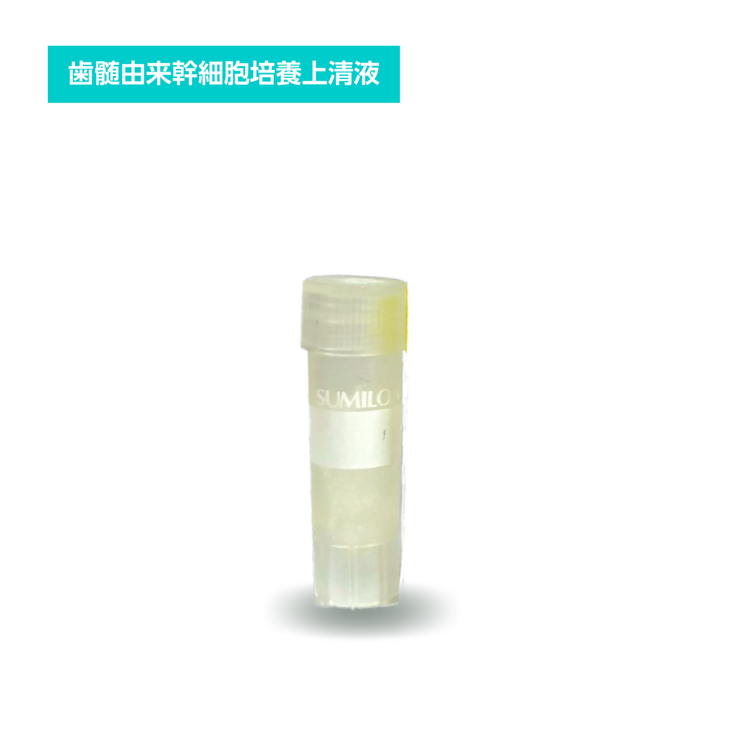 歯髄Re:Right-CELL-Secretome