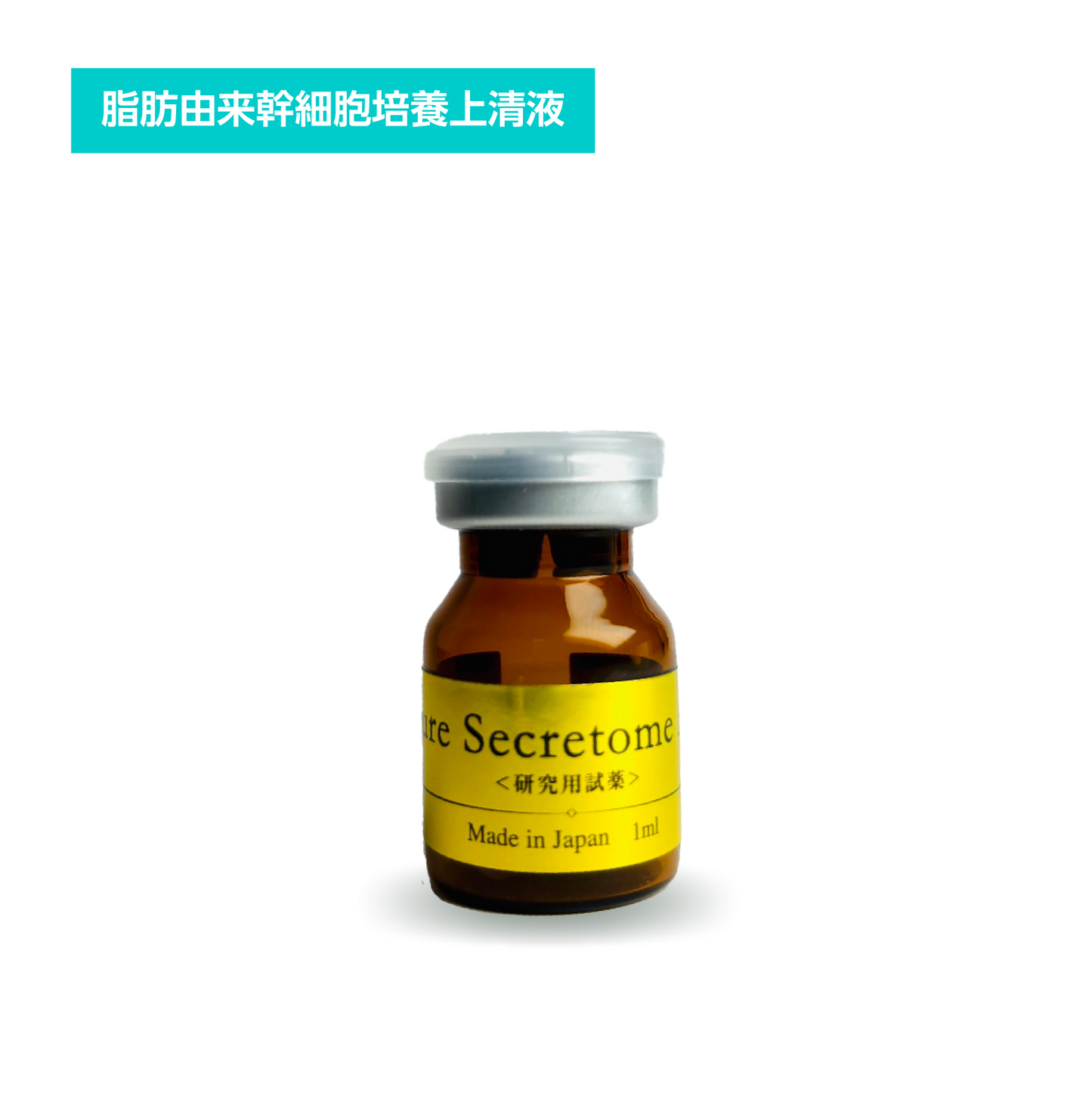 脂肪Re:Right-CELL-Secretome
