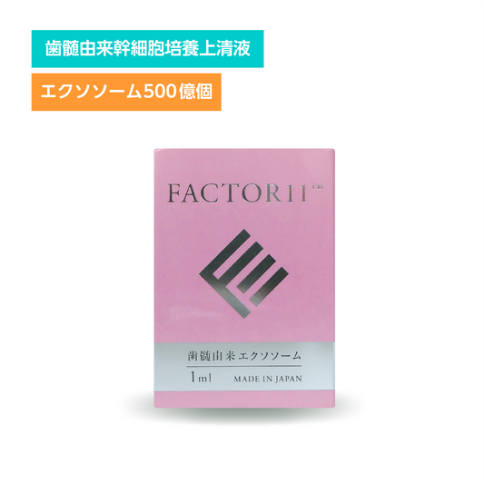 FACTOR11（歯髄）